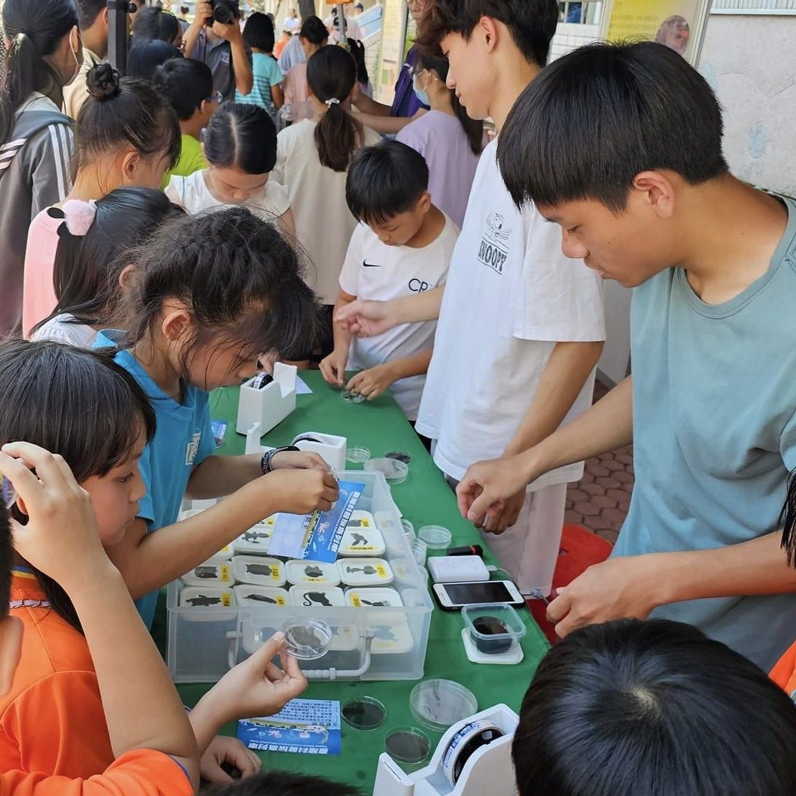 圖 3：觀察偏光片實驗